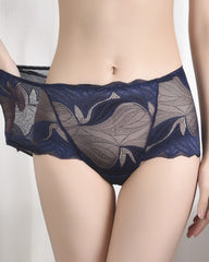 Einfarbiges, sexy Spitzenhöschen